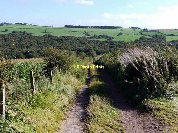 Photo 6"x4" Track south of Lumley's Lane Prudhoe c2011