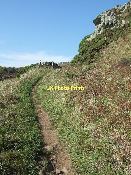 Photo 6"x4" Path north of Elender Cove East Prawle c2011