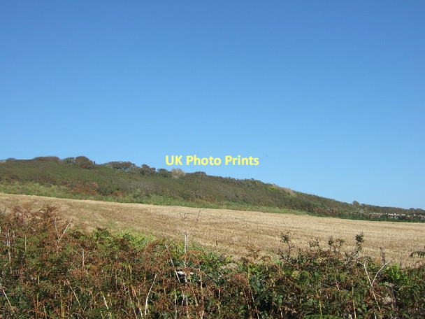 Photo 6"x4" Hedge on raised cliff East Prawle c2011