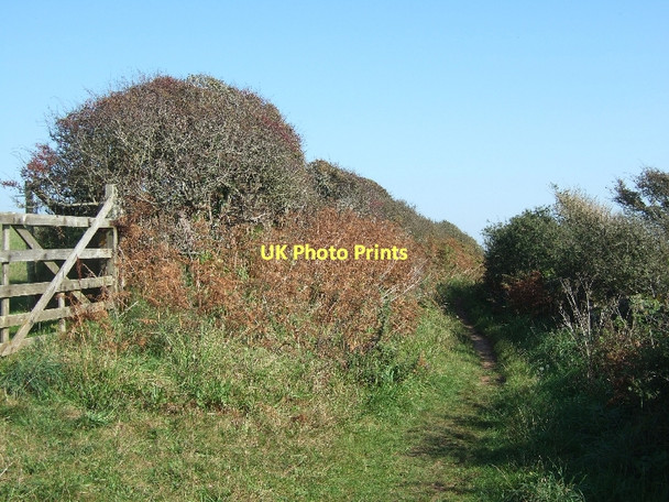 Photo 6"x4" Green lane to East Prawle East Prawle c2011