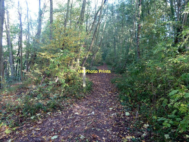 Photo 6"x4" Derwent Valley Heritage Way Fallinge c2011