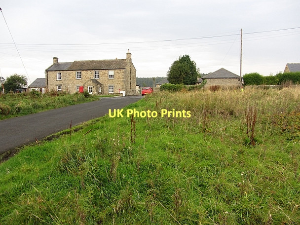 Photo 6"x4" Common, Stagshaw Halton\/NY9967 c2011