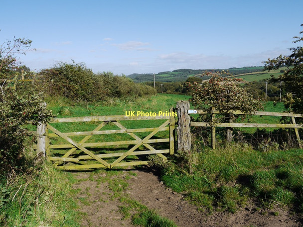 Photo 6"x4" Field gate on Lumley's Lane bridleway Prudhoe c2011