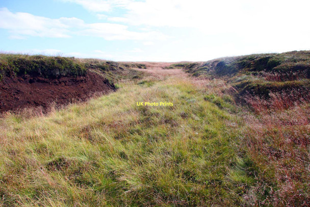 Photo 6"x4" Wilmer Hill Moss Holme\/SE1005 c2011