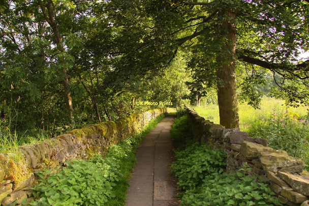 Photo 6"x4" Footpath from Haworth Haworth c2011