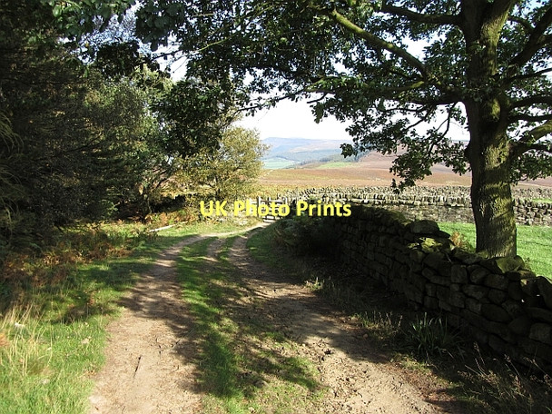 Photo 6"x4" Track, Arncliffe Woods Ingleby Cross c2011