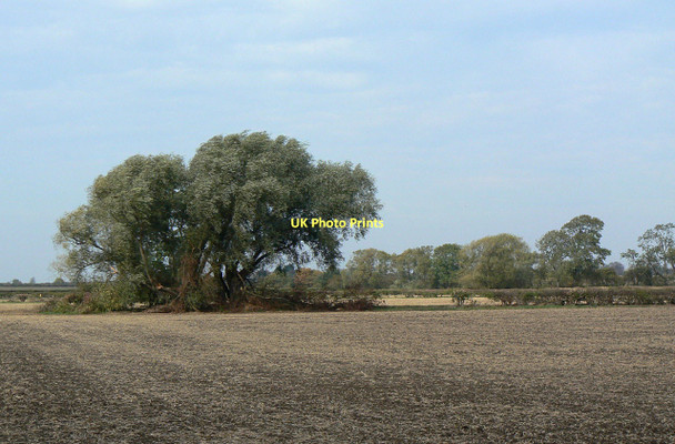 Photo 6"x4" Wind in the Willows Cropwell Bishop c2011