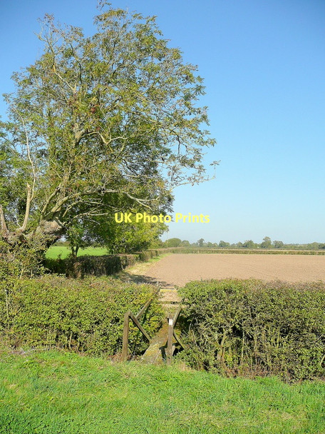 Photo 6"x4" Small footbridge from Nupdown Lane Nupdown c2011