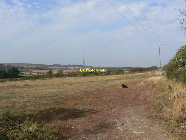 Photo 6"x4" Landscape with dog Colston Bassett c2011