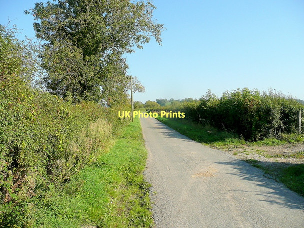 Photo 6"x4" Severn Lane Bevington c2011