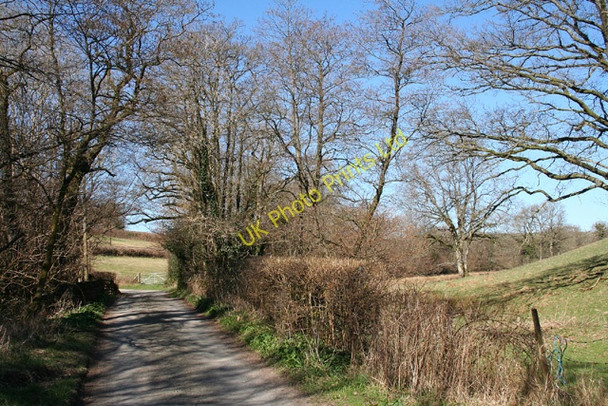 Photo 6"x4" Brushford: lane to Nightcott Brushford\/SS9225 c2006