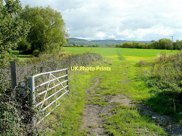 Photo 6"x4" Footpath leading south-east Badgeworth c2011