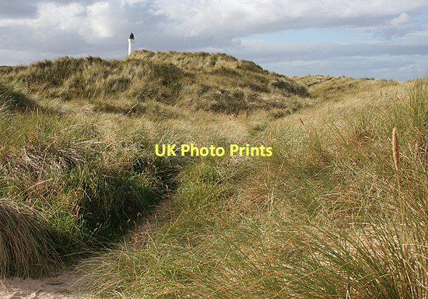 Photo 6"x4" Dune Path Covesea c2011