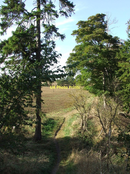 Photo 6"x4" Icknield Way Trail Stetchworth c2011