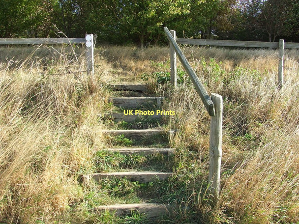 Photo 6"x4" Footpath Steps Ditton Green c2011