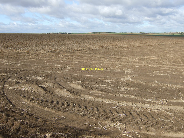Photo 6"x4" Farmland, Hemsworth Hemsworth\/SE4213 c2011