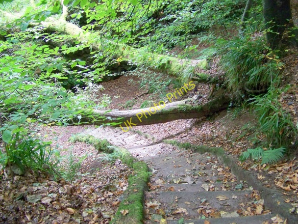 Photo 6"x4" Steps, Blairgowrie Blairgowrie c2009