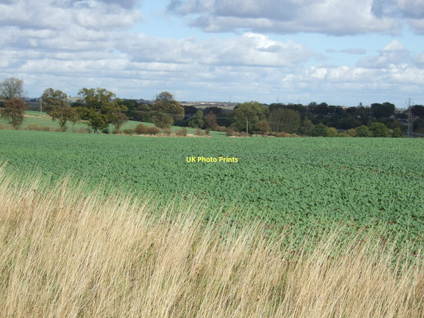 Photo 6"x4" Farmland off Chevet Lane Woolgreaves c2011
