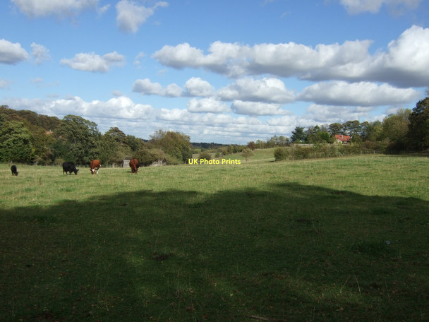 Photo 6"x4" Farmland, Chapelthorpe Newmillerdam c2011