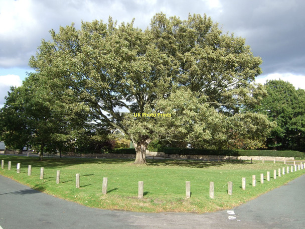 Photo 6"x4" Village Green, Woolley Woolley\/SE3113 c2011
