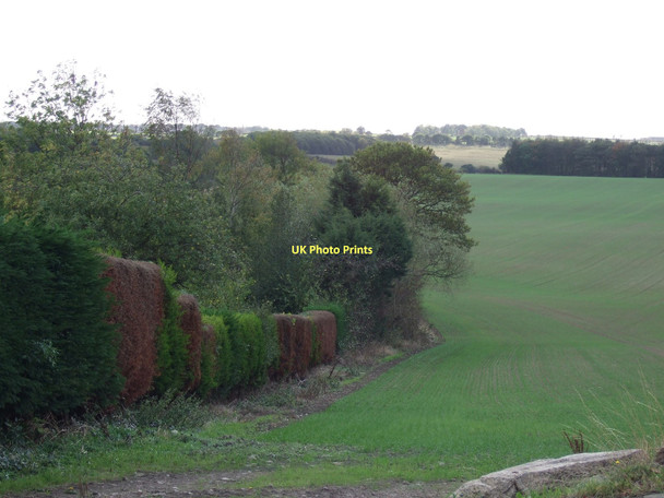 Photo 6"x4" Farmland near Notton Royston\/SE3511 c2011