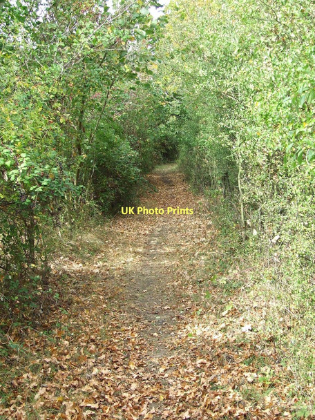 Photo 6"x4" Stour Valley Path Dullingham Ley c2011
