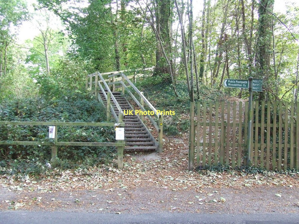 Photo 6"x4" Steps Up Stetchworth c2011