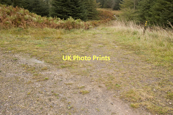 Photo 6"x4" Footpath track junction north of Goosey Foot tarn Hawkshead Hill c2011