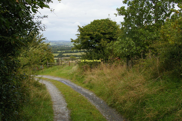 Photo 6"x4" Track down to Rhyd-yr-Onw Penboyr c2010