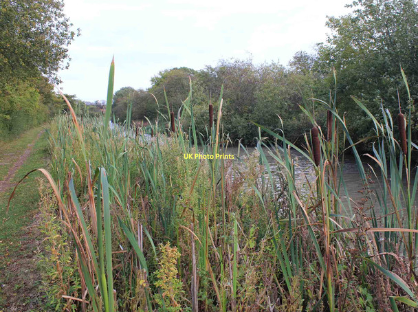 Photo 6"x4" Grand Union Canal, Bascote Bascote c2011