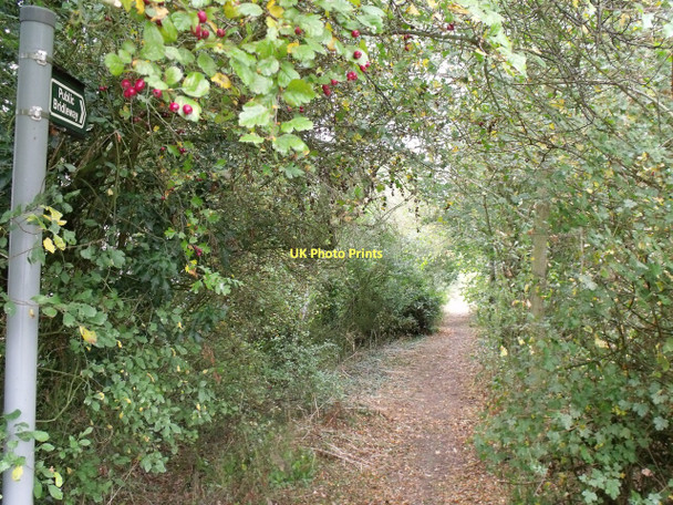Photo 6"x4" Bridleway near Hungram House Minting c2011