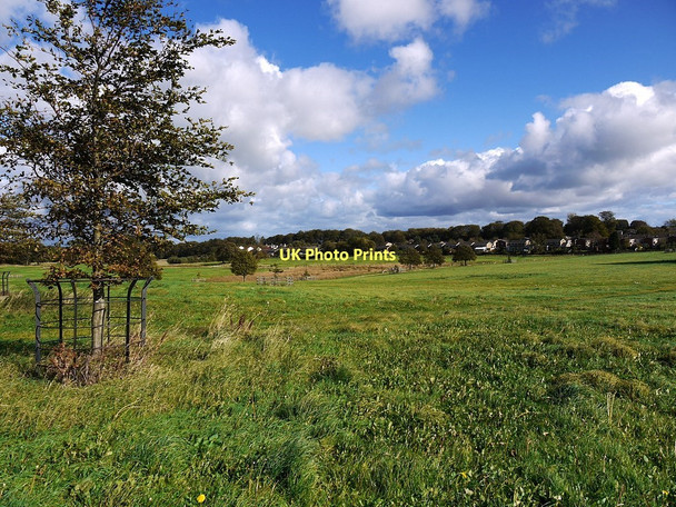Photo 6"x4" Hardwick East Park Sedgefield c2011