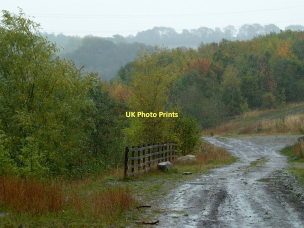 Photo 6"x4" Autumnal scene on the Stockley Trail Rylah c2011