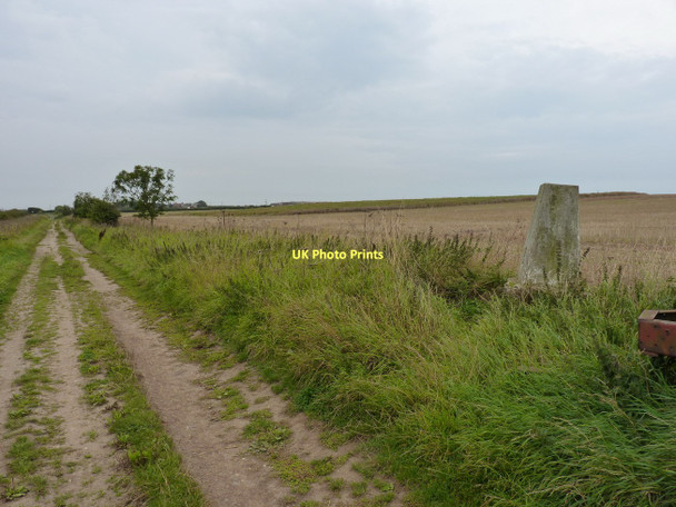 Photo 6"x4" Blakehowe Lane and the relocated trig point Bempton c2011