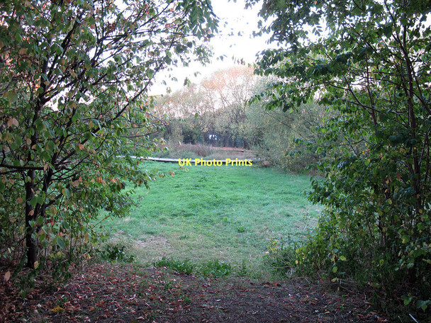 Photo 6"x4" Closed nature reserve Eltham c2011
