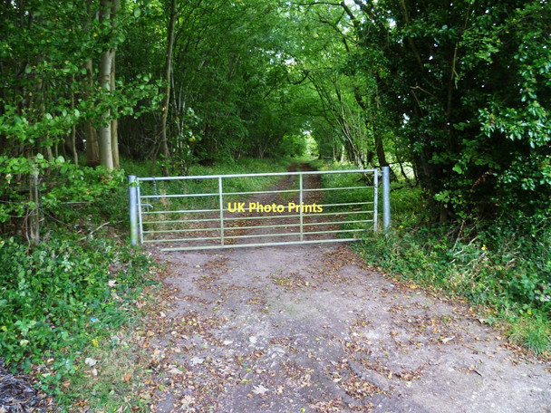 Photo 6"x4" Farm track on northern edge of Little Twinley's Copse Cole Henley c2011