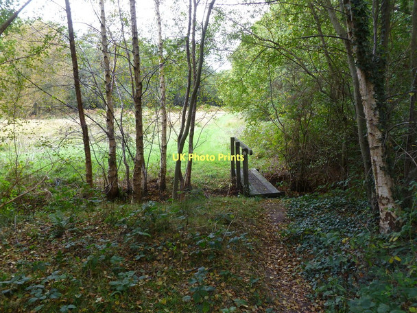 Photo 6"x4" Shirley, footbridge North Ripley c2011
