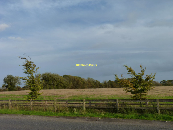 Photo 6"x4" Roadside trees Trim c2011