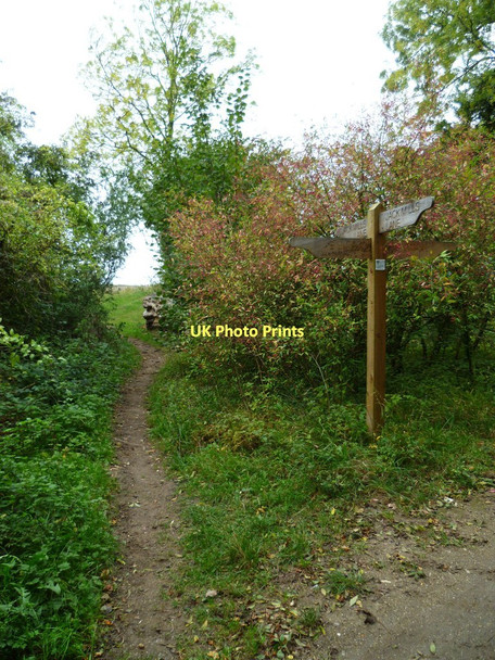 Photo 6"x4" Jack Mills Lane going north from Harrow Way Lynch\/SU5049 c2011