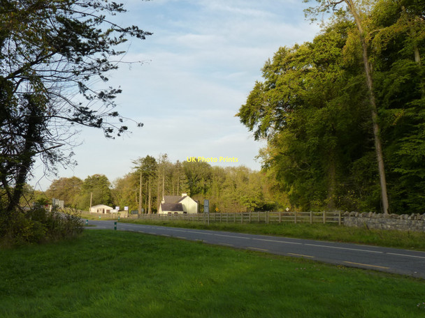 Photo 6"x4" Cottages in the trees Bective c2011