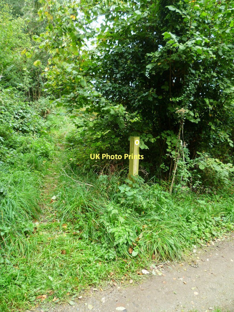 Photo 6"x4" Footpath marker along the Harrow Way Foxdown c2011