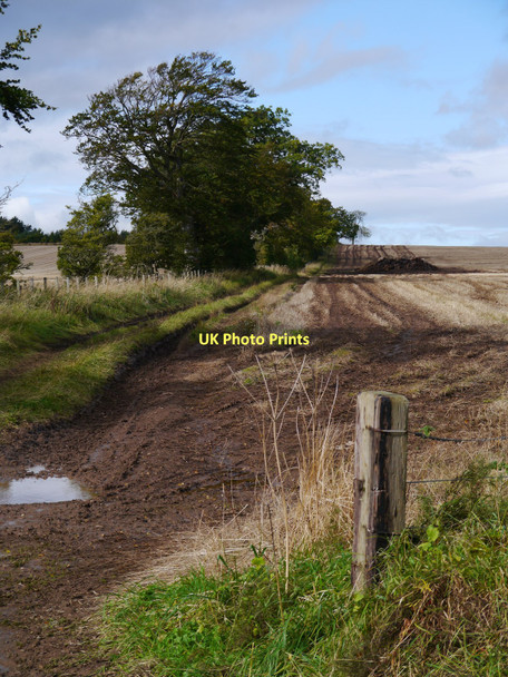 Photo 6"x4" Field Entrance Near Eccles Tofts Lambden c2011