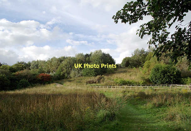 Photo 6"x4" Anderton Nature Park, Cheshire Northwich c2011