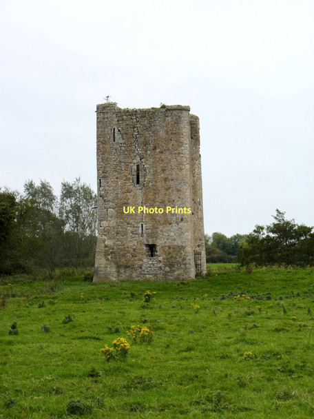 Photo 6"x4" Donore Castle Longwood\/N7145 c2011