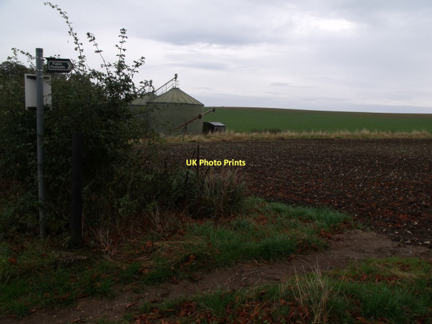 Photo 6"x4" Footpath across the field to Westmoor Plantation Scrafield c2011