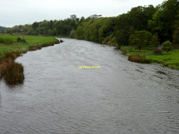 Photo 6"x4" River Boyne Stackallan c2011