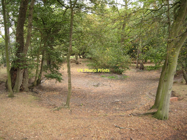 Photo 6"x4" Dried up pond at Kerswell Green Baynhall c2011 P1