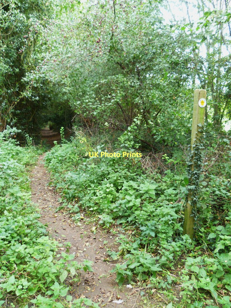 Photo 6"x4" Footpath west of Overton Lynch\/SU5049 c2011
