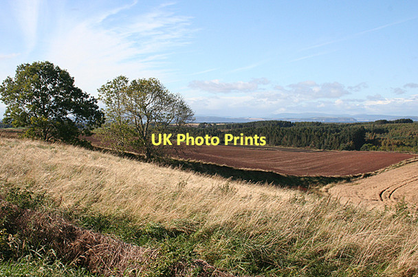 Photo 6"x4" Wester Golford Whitemire\/NH9754 c2011