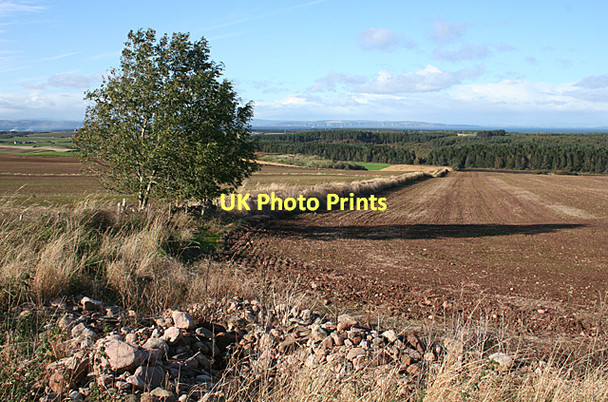 Photo 6"x4" The View from Hillhead Cottage Whitemire\/NH9754 c2011